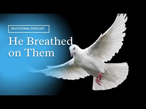 Your Daily Devotional | He Breathed on Them | John 20:22