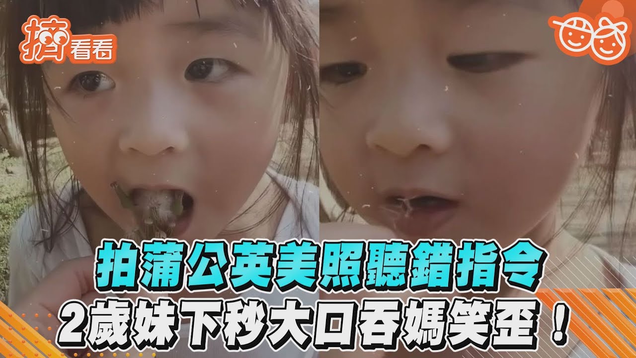 影音/拍蒲公英美照聽錯指令 2歲妹下秒大口吞媽笑歪!
