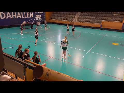 UtvA GS   Umeå Västra 2023 03 26 Match 1 period3