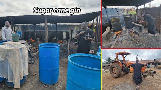 HOW SUGAR CANE IS TURNED TO  GIN(RUM) IN GHANA !!