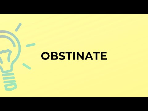 What is the meaning of the word OBSTINATE?