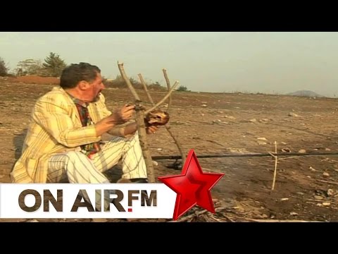 Cima, Kungji - Pula culak