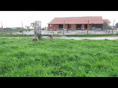 Vídeo de JULIETA