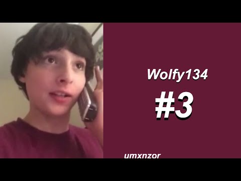 Wolfy134