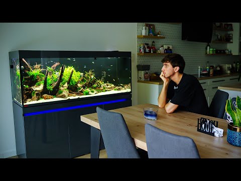 A Family-Friendly 530 Liter Aquascape with a Wild Twist