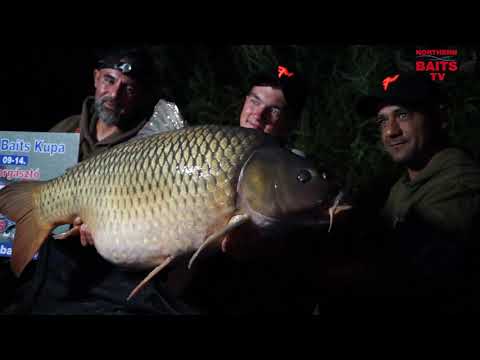 V. Northern Baits Kupa-PALOTÁS 2021