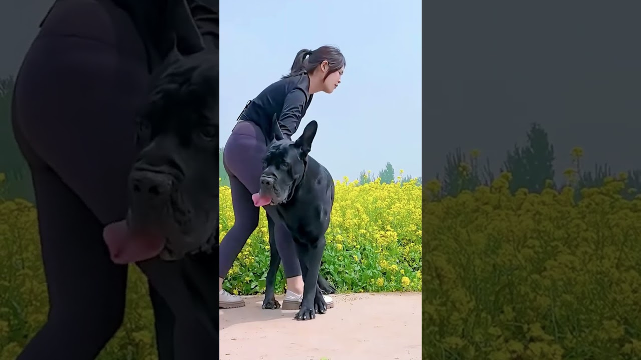 Successful investigation by friendship@17