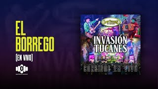 El Borrego (En Vivo) - Los Tucanes De Tijuana