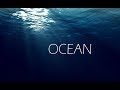 1 Hour of Ocean with Thomas Newman