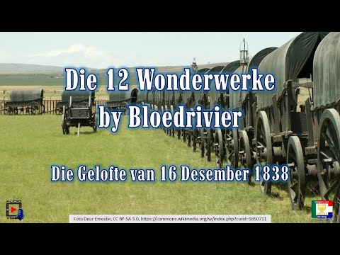 Die Twaalf Wonderwerke by Bloedrivier
