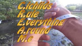 Fishing the City Park Big Bass Rodeo Bream Division