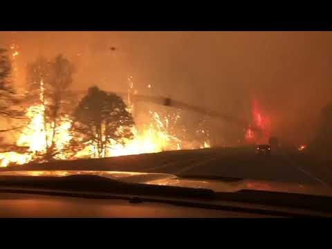 Car Drives Through Blazing Santiam Fire In Oregon - 1141739