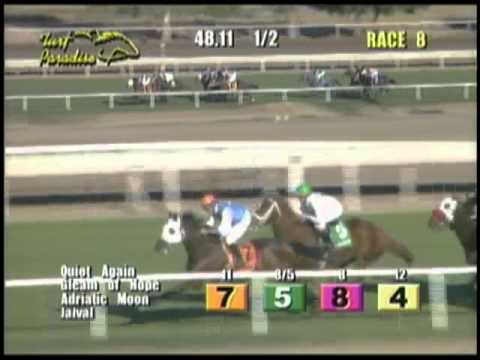 Gleam of Hope wins the Cluer Memorial Stakes at Turf Paradise