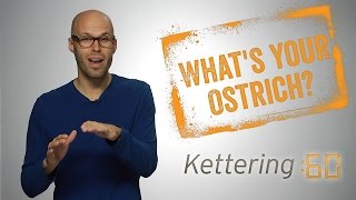 preview picture of video 'What's your Ostrich? - Kettering:60'