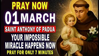 💖SAINT ANTHONY OF PADUA – PRAY THIS FOR 7 MINUTES FOR AN IMPOSSIBLE MIRACLE 🙏