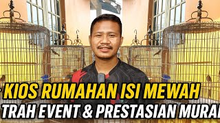 Download lagu LONG TIME NOT COVERED‼️ ZT MASTER KICAU IS BACK AGAIN‼️ MURAI TRAH EVENT, ACHIEVEMENTS, CHEAP PRI... mp3
