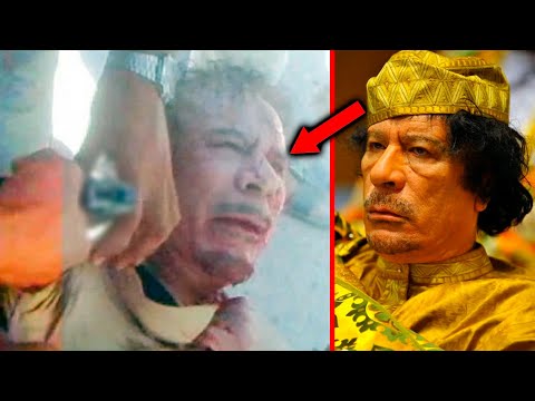 History Grip FR and TIME SCAR History FR