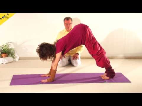 Hund  - Vorübung zum Kopfstand  - Praktische Anleitung (Auszug aus einer Yoga Anfängerstunde)