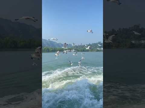 Alhamdulillah❤️What A Beautiful Journey#subscribe#trending#viral#video#cute#explore#adventure#shorts