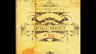 Assemblage 23, Echo Image - Document (Ultimate Gloom Remix) (lyrics)