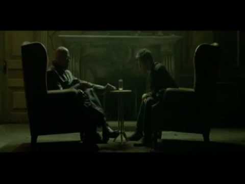 Video Down the Rabbit Hole MT4