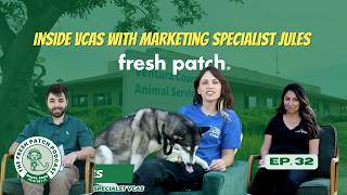 How Ventura County Animal Services Saves Pets And Supports People