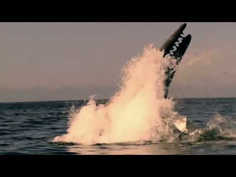Chased by Sea Monsters Edit Part 13 Seventh Most Dangerous Sea