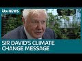 Sir David Attenborough Calls For Urgent Climate Change Action ITV News