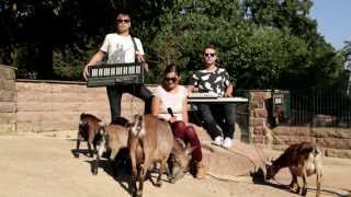 Super Flu - Jo Gurt (official video)