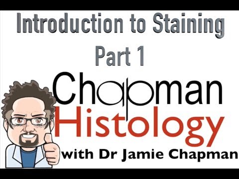 3 Min Histology Intro To Staining 1
