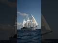 Med 27 Rara Avis - Call for Application