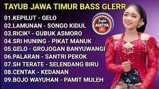 Download lagu TAYUB JAWA TIMUR BASS GLERR TERBARU 2026 mp3