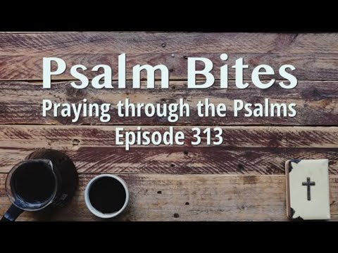 Praying Psalm 140 | Psalm Bites | Episode 313