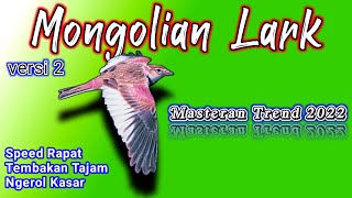 Download lagu MASTERAN BURUNG TERBAIK,MONGOLIAN LARK nembak ngerol rapat mp3 Download lagu MASTERAN BURUNG TERBAIK,MONGOLIAN LARK nembak ngerol rapat mp3