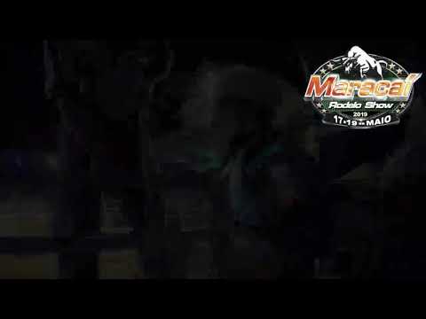 Rodeio de Maracaí 2019