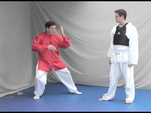 Tai Chi Self-Defense - Chen Laojia Yilu "Six Sealings Four Closings"