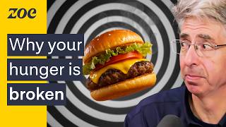 Download lagu How ultra-processed flavours rewire your hunger mp3