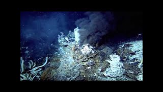 The Deepest Place On Earth: Mariana Trench - Documentary