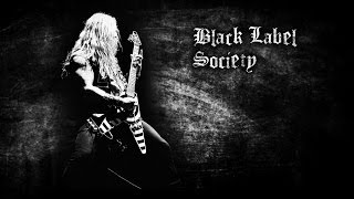 Zakk Wylde "SPEEDBALL" Black label Society (guitar cover)