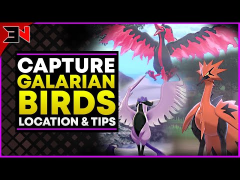 How To Catch Galarian Zapdos - Galarian Moltres - Galarian Articuno Easily - Galarian Bird Locations