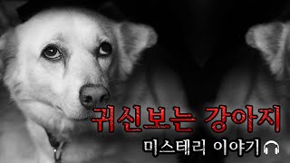 [미스테리 사연]  귀신보는 강아지ㅣ공포라디오ㅣ무서운이야기ㅣ구독자사연