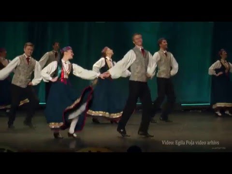 LU TDA "Dancis"  Svin Jubileju!