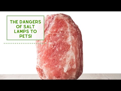 Dangers of SALT LAMPS to Pets!