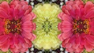 Paper Houses (by Bert Jansch, John Renbourn & Jacqui McShee live in NYC 1992)