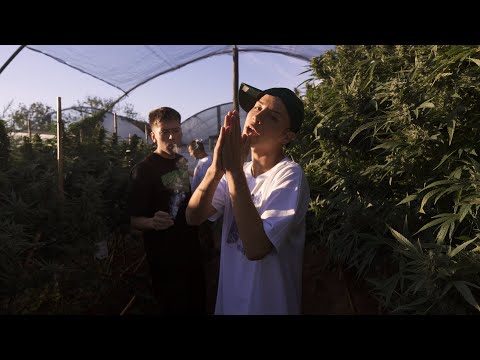 CEROUNNO 1665 and ELDOSCIENTOSIETE