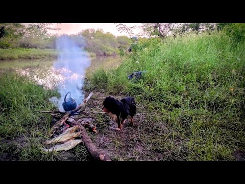 🔥🔥PESCA de BAGRES en el GUALEGUAY y TARAIRAS en un ARROYO CRECIDO