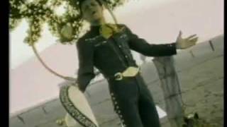 Pedro Fernandez-La Mujer Que Amas