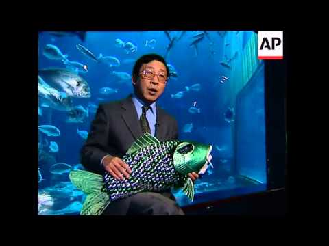 World's first autonomous robotic fish unveiled