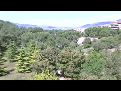 ONDA TG 29.12.2014 - NUOVI CHIOSCHI  BANDI PER L'ASSEGNAZIONE