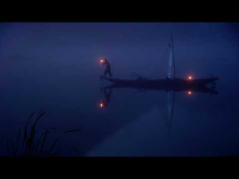 w00ds - night by the lake